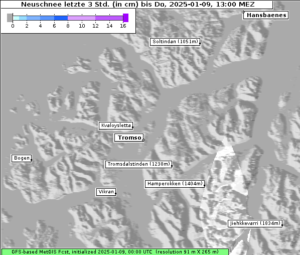 Neuschnee, 9. 1. 2025