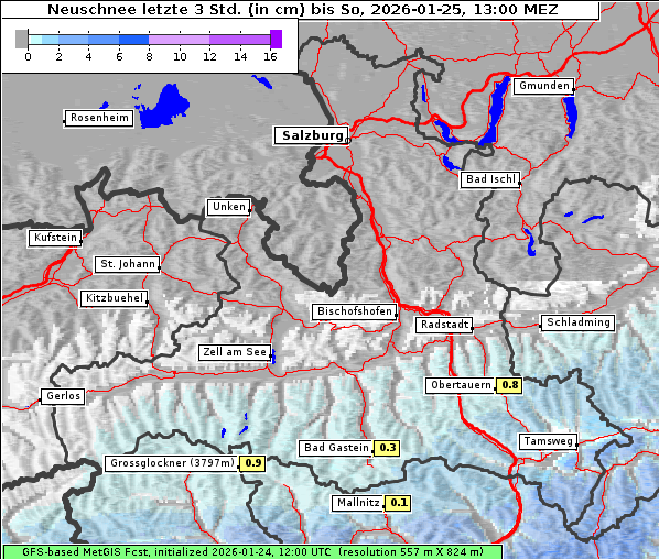 Neuschnee, 25. 1. 2026