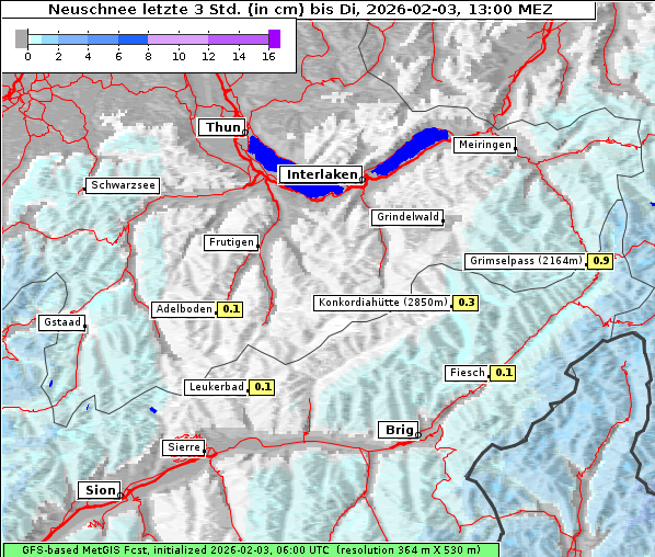 Neuschnee, 3. 2. 2026