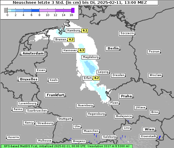 Neuschnee, 11. 2. 2025