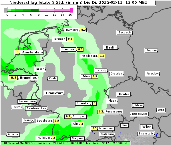 Niederschlag, 11. 2. 2025