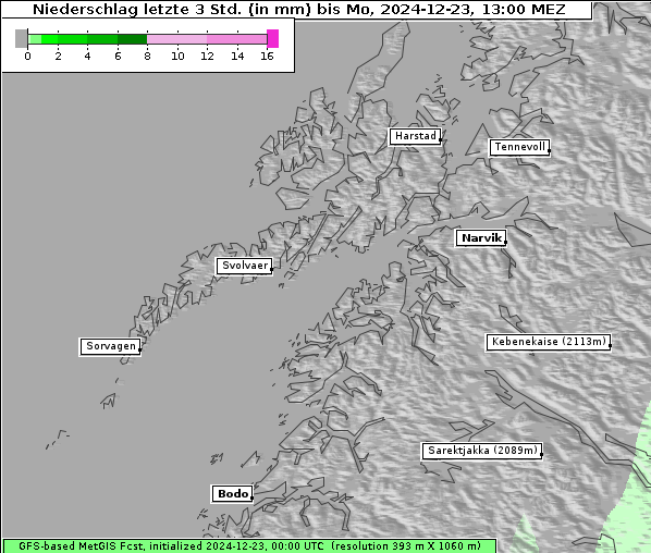Niederschlag, 23. 12. 2024