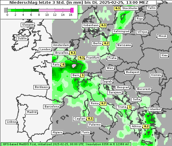 Niederschlag, 25. 2. 2025