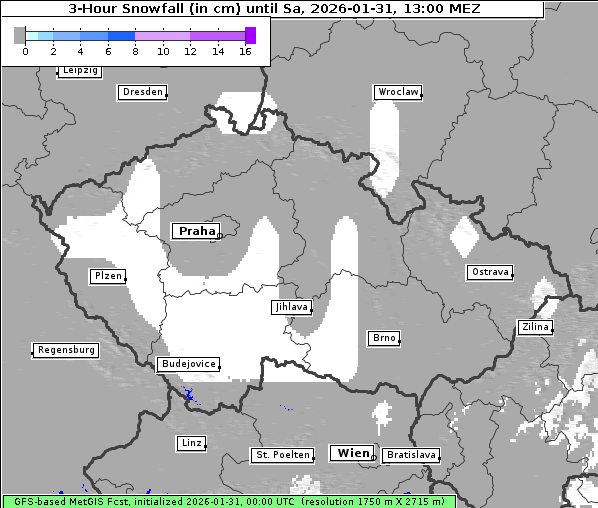 Neuschnee, 31. 1. 2026