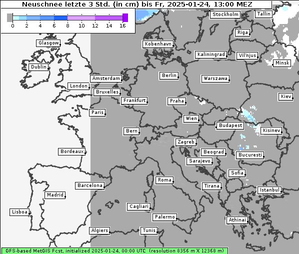 Neuschnee, 24. 1. 2025