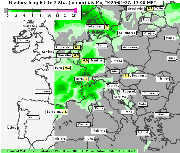 Niederschlag, 27. 1. 2025