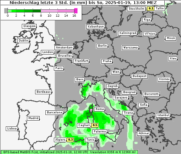 Niederschlag, 19. 1. 2025