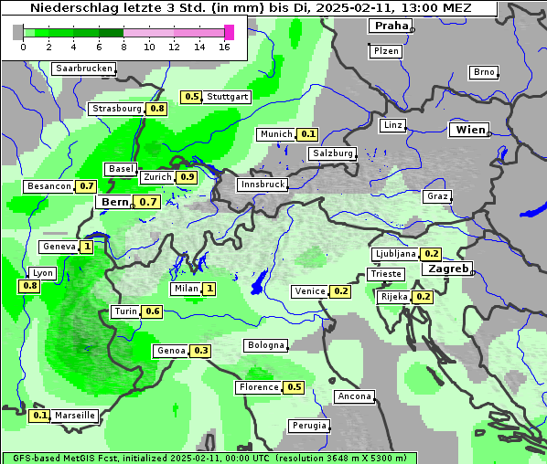 Niederschlag, 11. 2. 2025