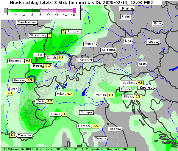 Niederschlag, 11. 2. 2025
