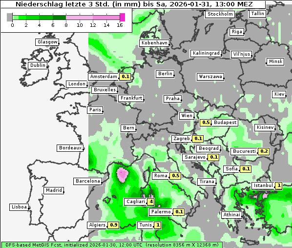 Niederschlag, 31. 1. 2026