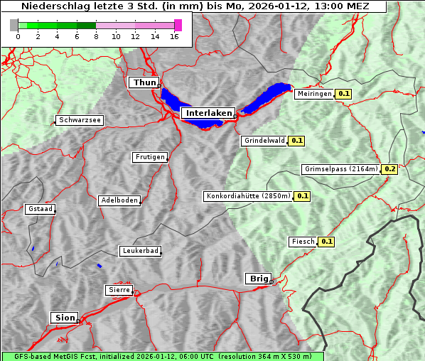 Niederschlag, 12. 1. 2026