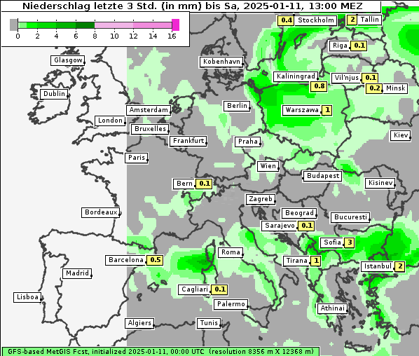 Niederschlag, 11. 1. 2025