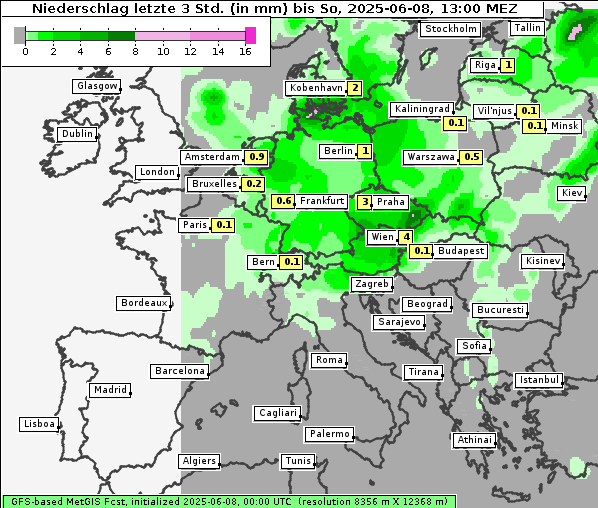 Niederschlag, 8. 6. 2025