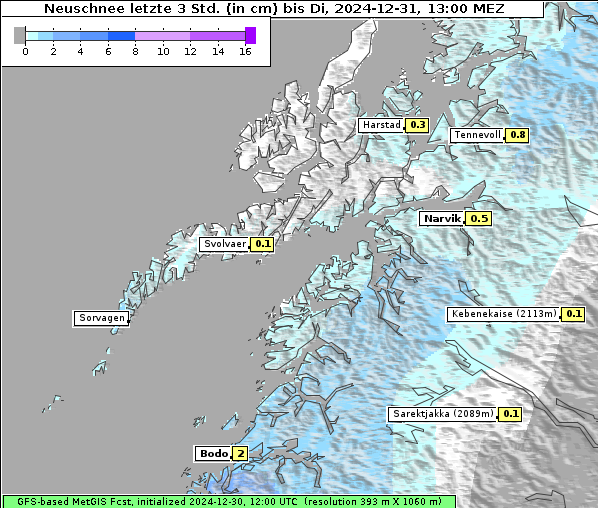 Neuschnee, 31. 12. 2024