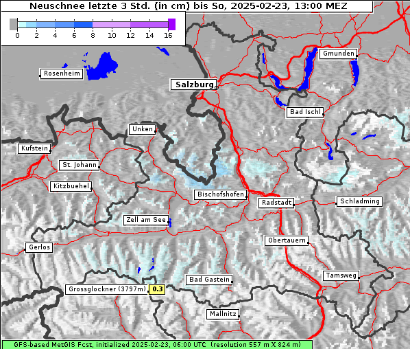 Neuschnee, 23. 2. 2025