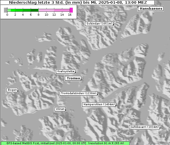 Niederschlag, 8. 1. 2025