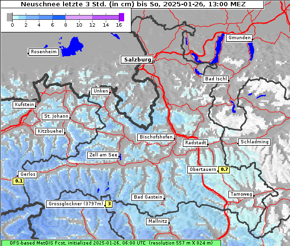 Neuschnee, 26. 1. 2025