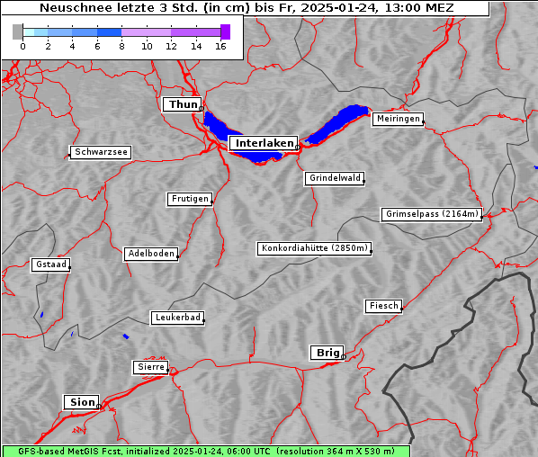 Neuschnee, 24. 1. 2025