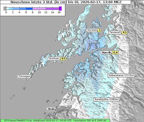 Neuschnee, 17. 2. 2026