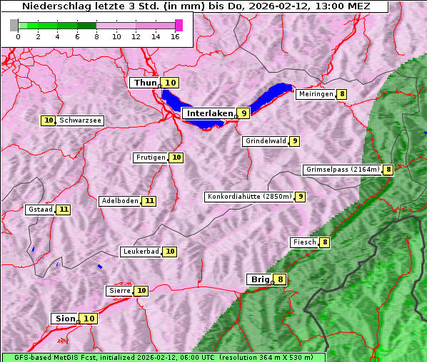 Niederschlag, 12. 2. 2026