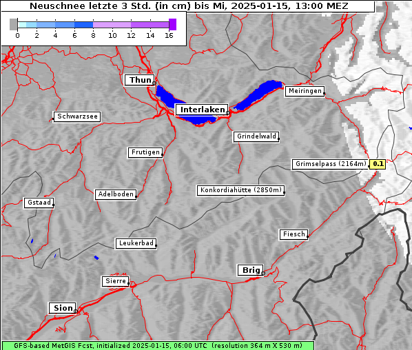 Neuschnee, 15. 1. 2025