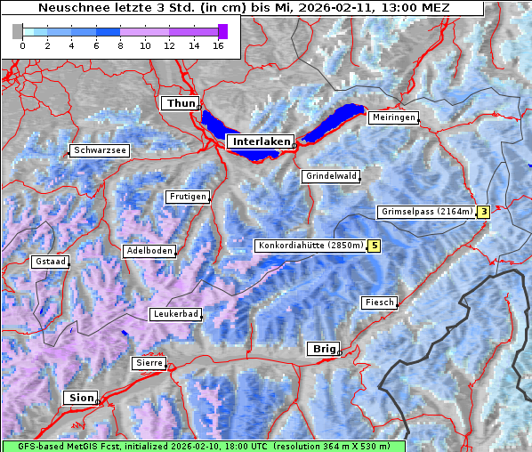 Neuschnee, 11. 2. 2026