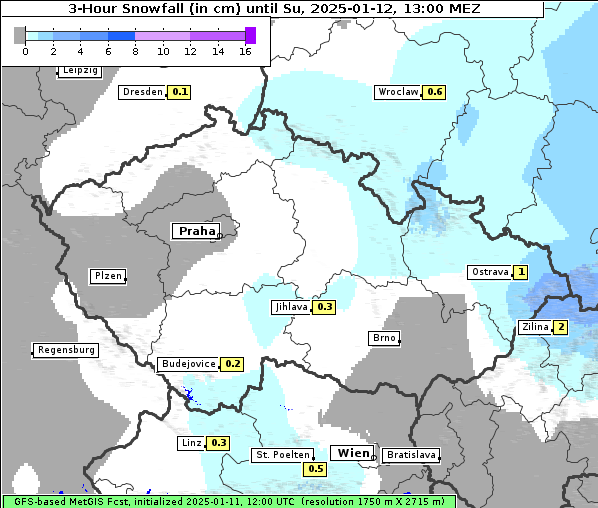 Neuschnee, 12. 1. 2025