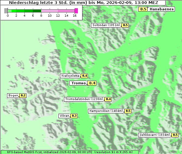 Niederschlag, 9. 2. 2026