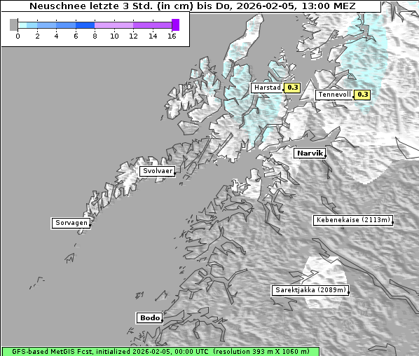 Neuschnee, 5. 2. 2026