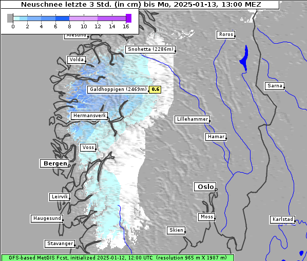 Neuschnee, 13. 1. 2025