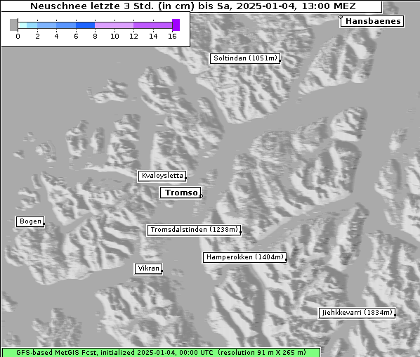 Neuschnee, 4. 1. 2025