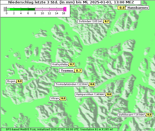 Niederschlag, 1. 1. 2025