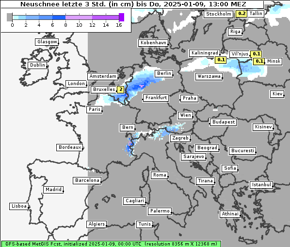 Neuschnee, 9. 1. 2025