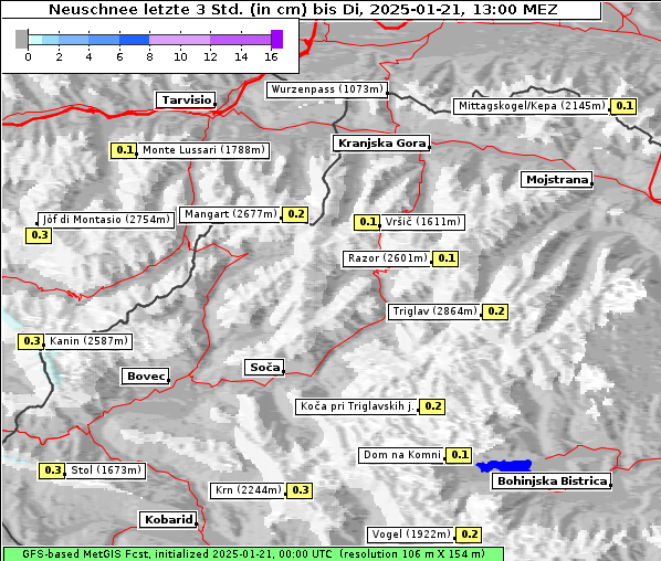 Neuschnee, 21. 1. 2025