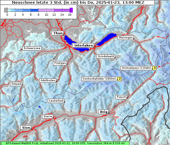 Neuschnee, 23. 1. 2025