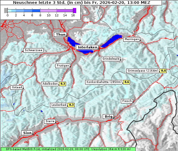 Neuschnee, 20. 2. 2026