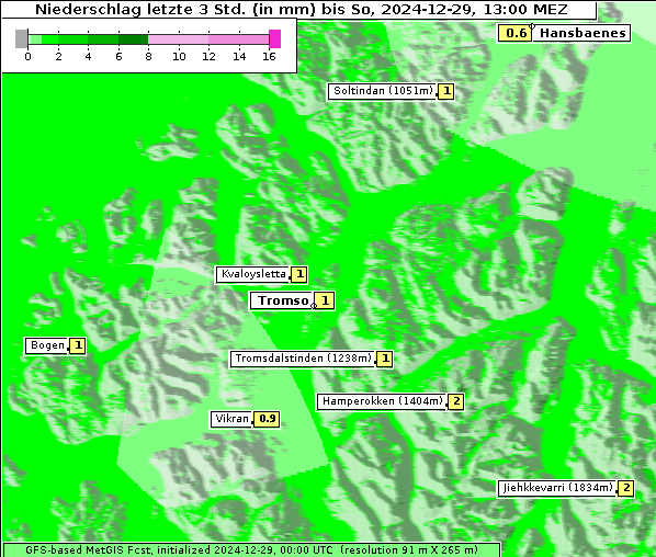 Niederschlag, 29. 12. 2024