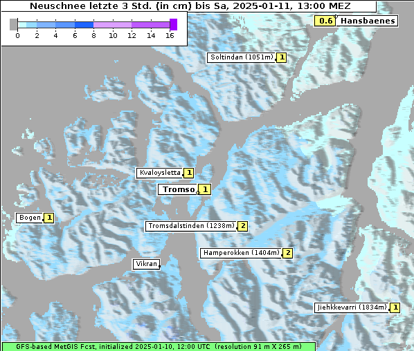 Neuschnee, 11. 1. 2025