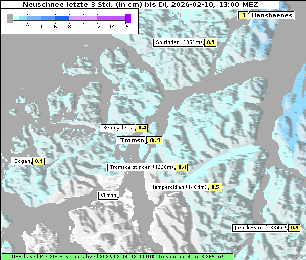 Neuschnee, 10. 2. 2026