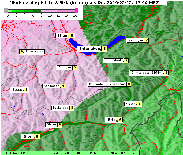 Niederschlag, 12. 2. 2026