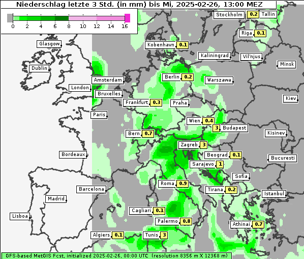 Niederschlag, 26. 2. 2025
