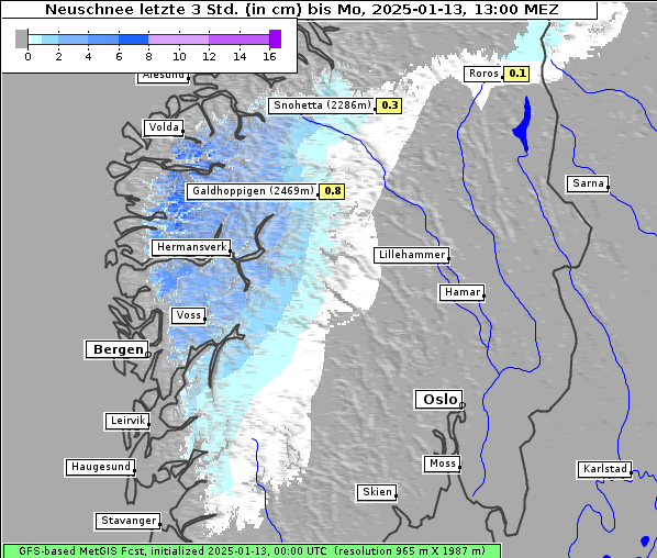 Neuschnee, 13. 1. 2025