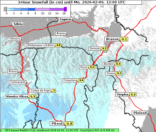 Neuschnee, 9. 2. 2026