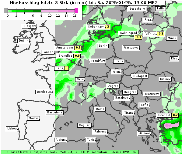 Niederschlag, 25. 1. 2025