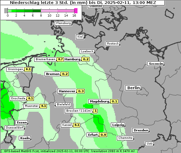 Niederschlag, 11. 2. 2025