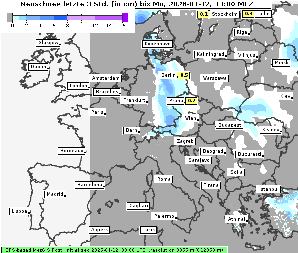 Neuschnee, 12. 1. 2026
