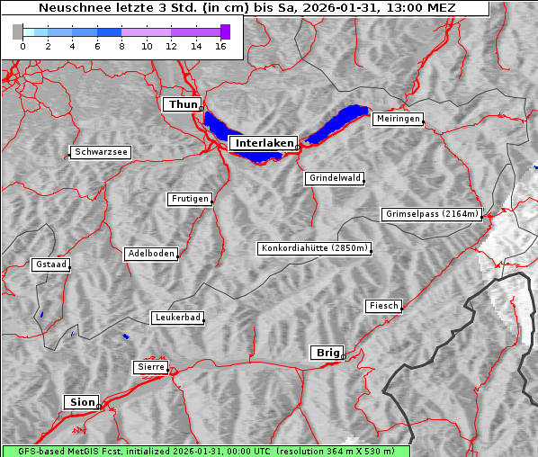 Neuschnee, 31. 1. 2026