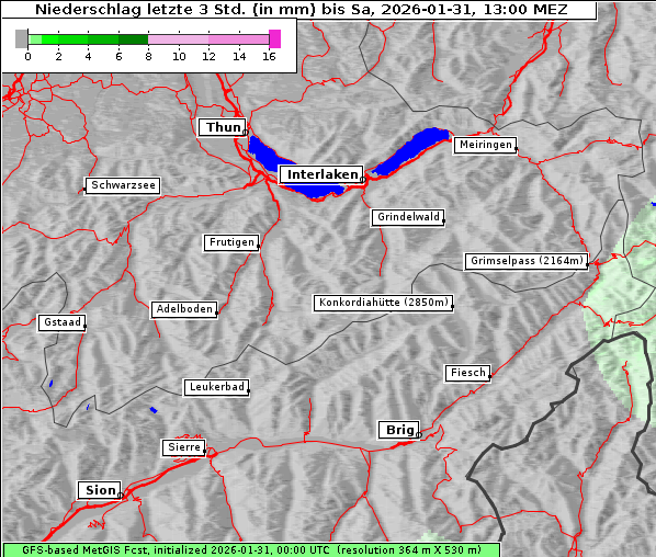 Niederschlag, 31. 1. 2026
