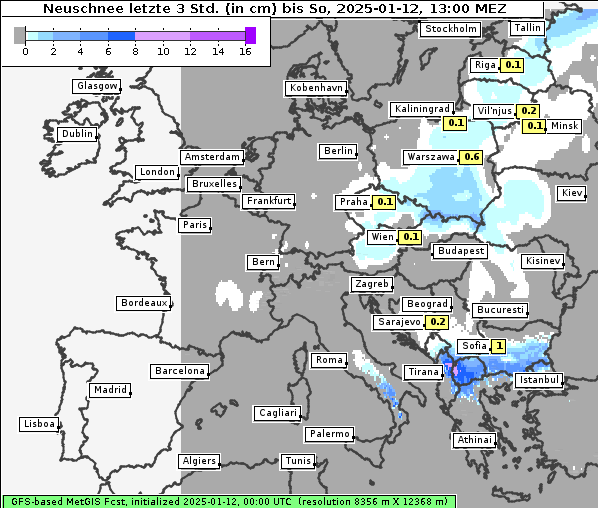 Neuschnee, 12. 1. 2025