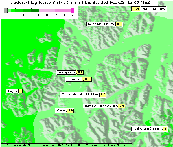 Niederschlag, 28. 12. 2024